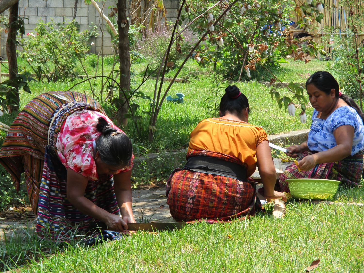Maya Frauen sammeln Pflanzen um zu färben